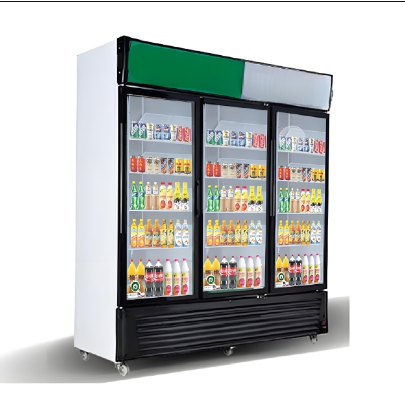 Display Freezer Manufacturer - Direct Cooling 3 Door