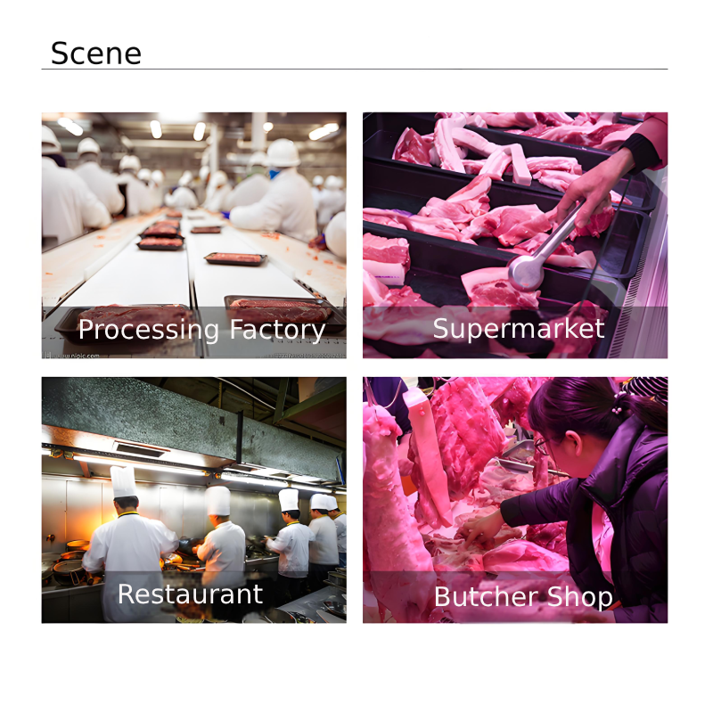 Vertical Bone Saw Factory - Meat Band Saw Cutting Machine