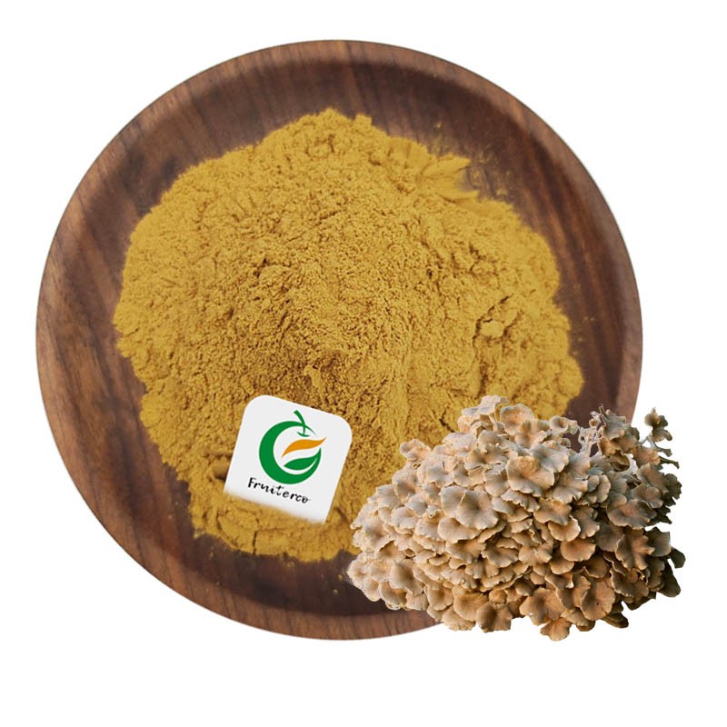 Fruiterco Grifola Frondosa Extract Powder Maitake Mushroom Extract