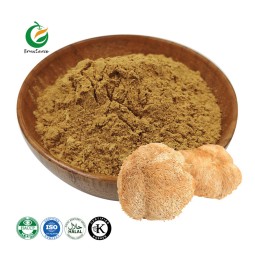 Wholesale Bulk Organic Hericium Erinaceus Extract Powder Lions Mane Mushroom Extract