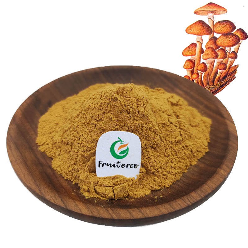 High Quality  Lignosus Rhinocerus Extract Tiger Milk Mushroom Extract Powder