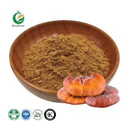 Fruiterco Organic Lingzhi Ganoderma Lucidum Extract Powder Reishi Mushroom Extract