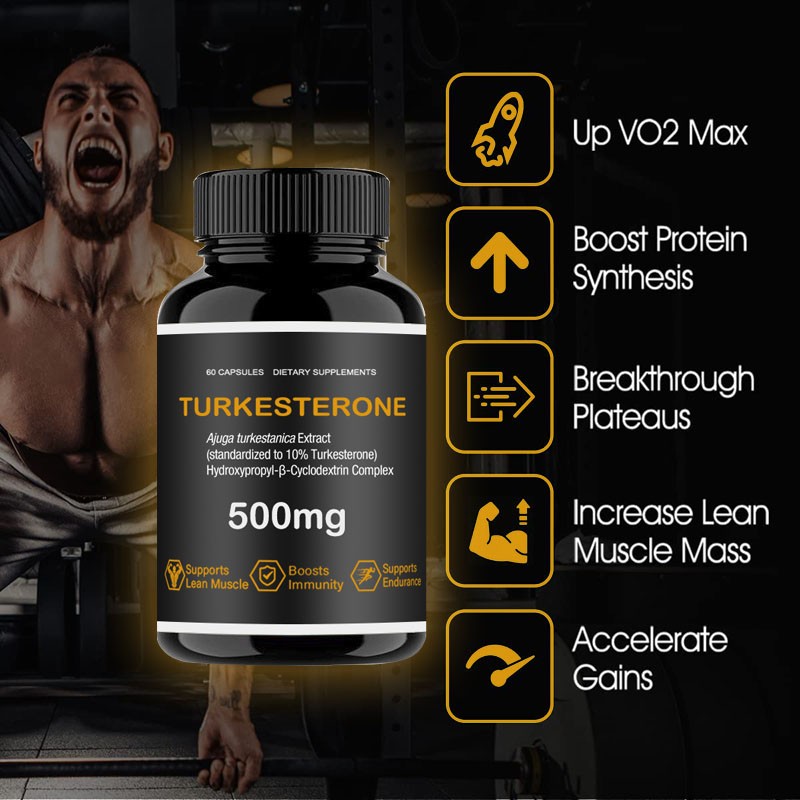 Body Building Supplements Turkesterone Supplement 500mg Ajuga Turkesterone Capsules