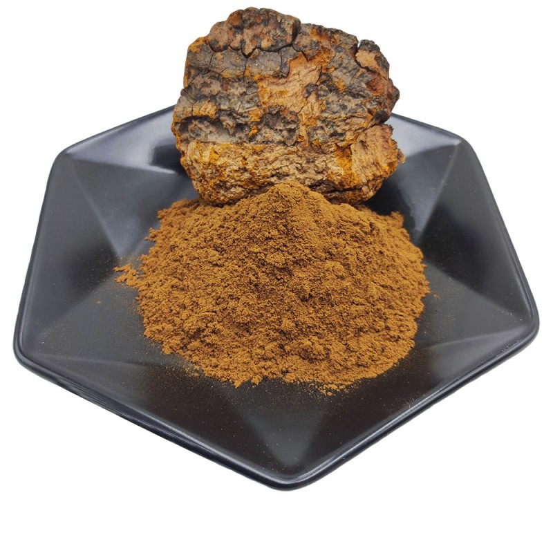 Private Label Chaga Mushroom Extract Coffee Blend Chaga Coffee
