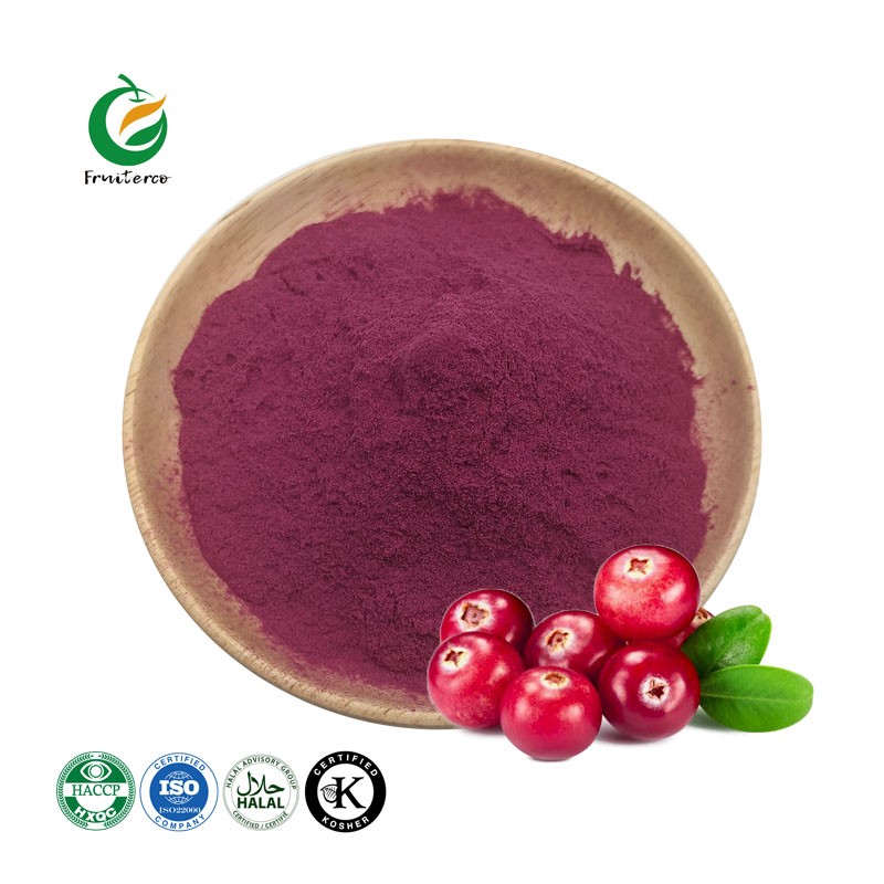 Fruiterco Natural 25% Anthocyanins Bilberry Fruit Extract Powder Bilberry Extract
