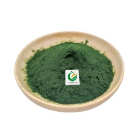 Green Sea Algae Peel Powder Pigmentation Remover for Face Hydrolyzed Sponge Spongilla Spicula Zena Algae Seaweed Peeling Powder
