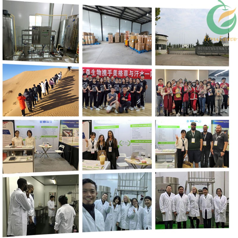 Wholesale Bulk Food Thickener Pure Agar Powder Food Grade Agar Agar Powder