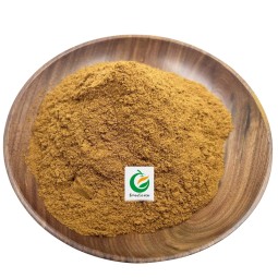 Herb Extract 100% Natural Cassia Seed Powdered Extract 10:1 Cassia Seed Extract Powder