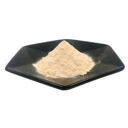 Private Label 100% Pure OEM Private Label USP Standard Sesame Protein Powder