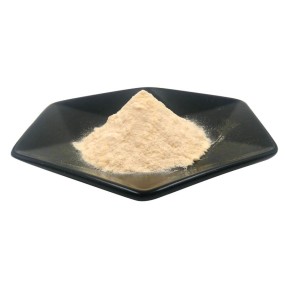 Private Label 100% Pure OEM Private Label USP Standard Sesame Protein Powder