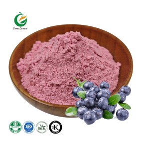 Fruiterco Natural 25% Anthocyanins Bilberry Fruit Extract Powder Bilberry Extract