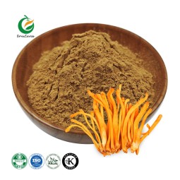 Fruiterco Cordyceps Militaris Mushroom Extract Powder Organic Cordyceps Militaris Extract