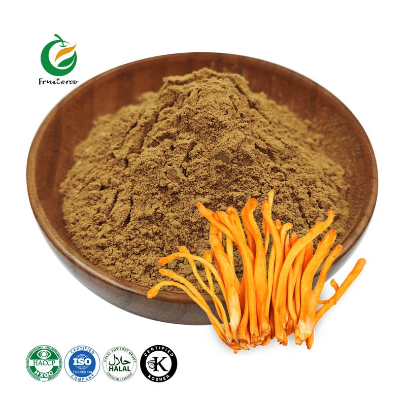 Fruiterco Cordyceps Militaris Mushroom Extract Powder Organic Cordyceps Militaris Extract