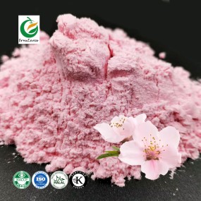 Water Soluble Sakura Flower Extract 100% Pure Spray Dried Sakura Powder for Food Flavor