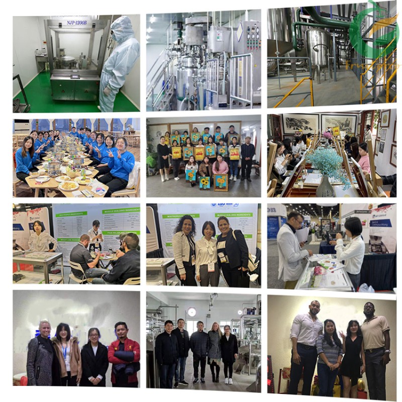 Wholesale Bulk Food Thickener Pure Agar Powder Food Grade Agar Agar Powder