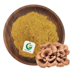Fruiterco Grifola Frondosa Extract Powder Maitake Mushroom Extract