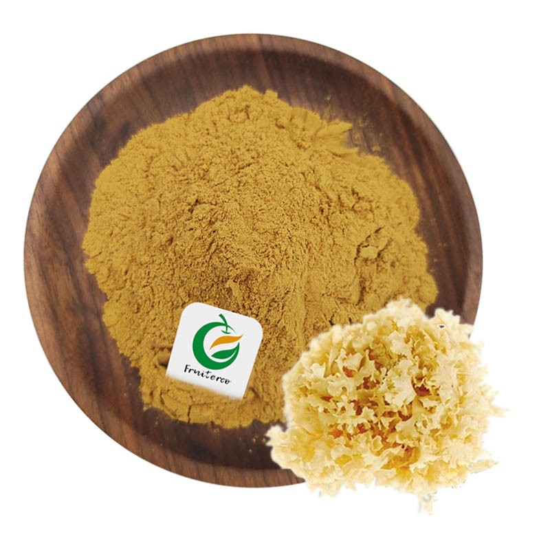 High Quality  Lignosus Rhinocerus Extract Tiger Milk Mushroom Extract Powder