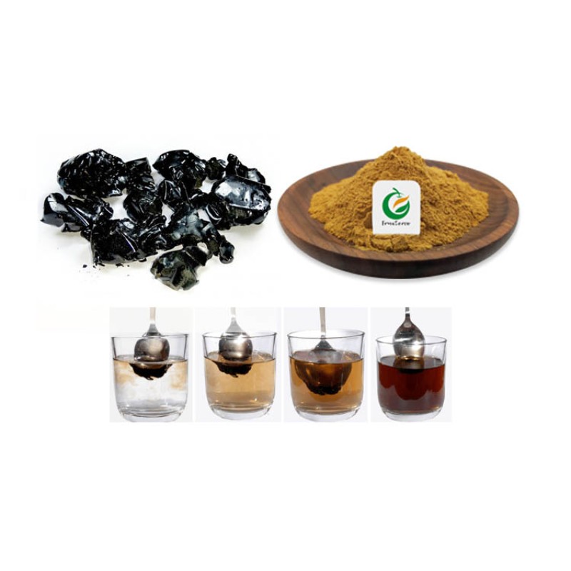 Natural 100% Pure Shilajit Extract Powder 50% Fulvic Acid Shilajit Extract
