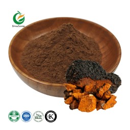Wholesale Bulk Natural Organic Inonotus Obliquus Extract Powder Chaga Mushroom Extract