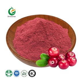 Fruiterco Freeze Dried Cranberry Powder Cranberry Fruit Extract Powder Cranberry Powder
