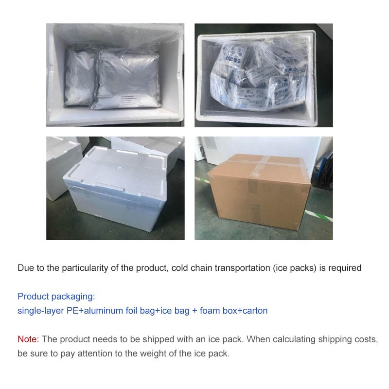 Wholesale Bulk Probiotics Supplements Compound Freeze Dried Probiotics Powder