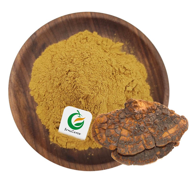 Fruiterco Grifola Frondosa Extract Powder Maitake Mushroom Extract