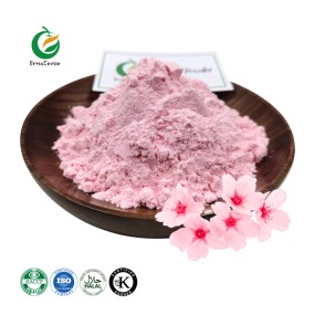 Private Label 100% Natural Water Soluble Sakura Flower Powder Sakura Powder