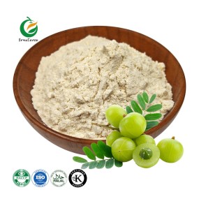 Fruiterco 100% Natural Phyllanthus Emblica Amla Extract Powder Organic Amla Fruit Powder