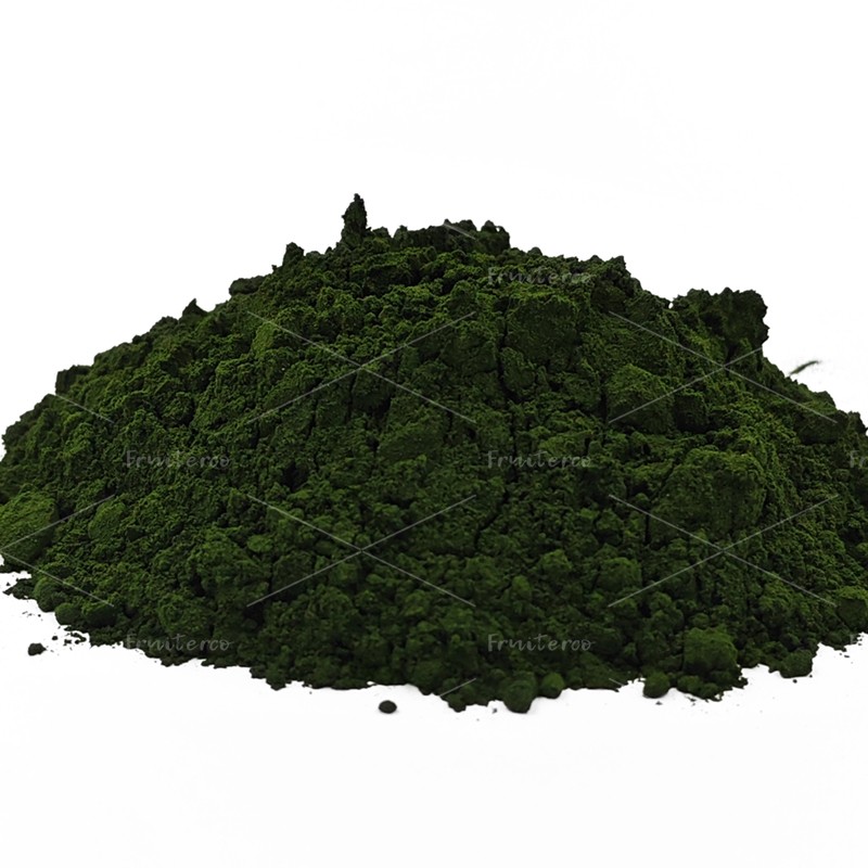 Wholesale Food Grade Marine Phytoplankton Oceanica Salina Nannochloropsis Powder Marine Phytoplankton Nannochloropsis Powder