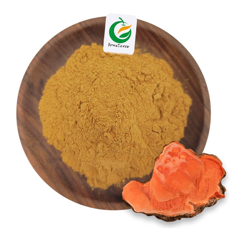 High Quality  Lignosus Rhinocerus Extract Tiger Milk Mushroom Extract Powder