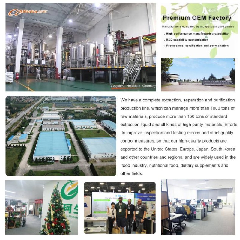 China Manufacture 200 Mesh Food Grade Xanthan Gum Powder Xanthan Gum