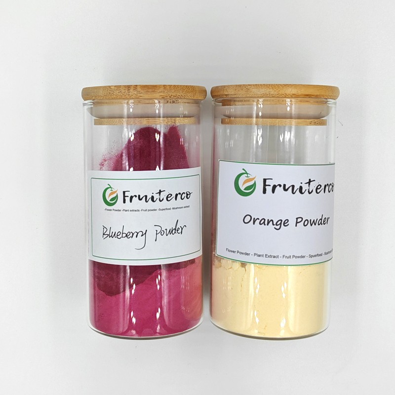 100% Natural Blueberry Fruit Powder Bluebery Extract Freeze Dried Blueberry Powder