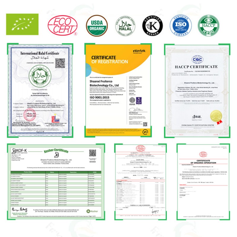8 Mushrooms Cordyceps Reishi Lions Mane Mushroom Tremella Agaricus Maitake Shiitake Chaga Mushrooms Blend
