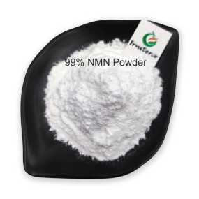 Wholesale 1094-61-7 NMN Beta Nicotinamide Mononucleotide Pure 99% NMN Powder