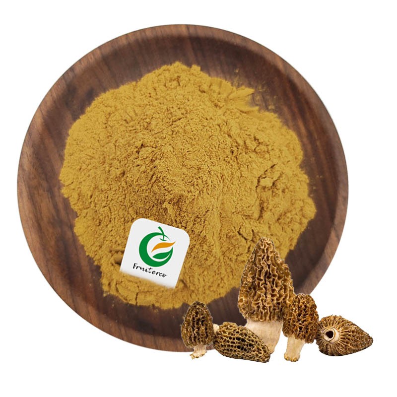 Fruiterco Grifola Frondosa Extract Powder Maitake Mushroom Extract