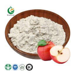 Bulk Pure Natural Apple Fruit Powder Apple Juice Powder Apple Powder