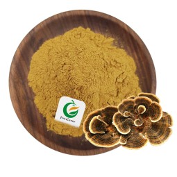 Fruiterco Coriolus Versicolor Extract Powder Turkey Tail Mushroom Extract