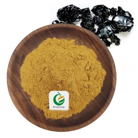 Natural 100% Pure Shilajit Extract Powder 50% Fulvic Acid Shilajit Extract