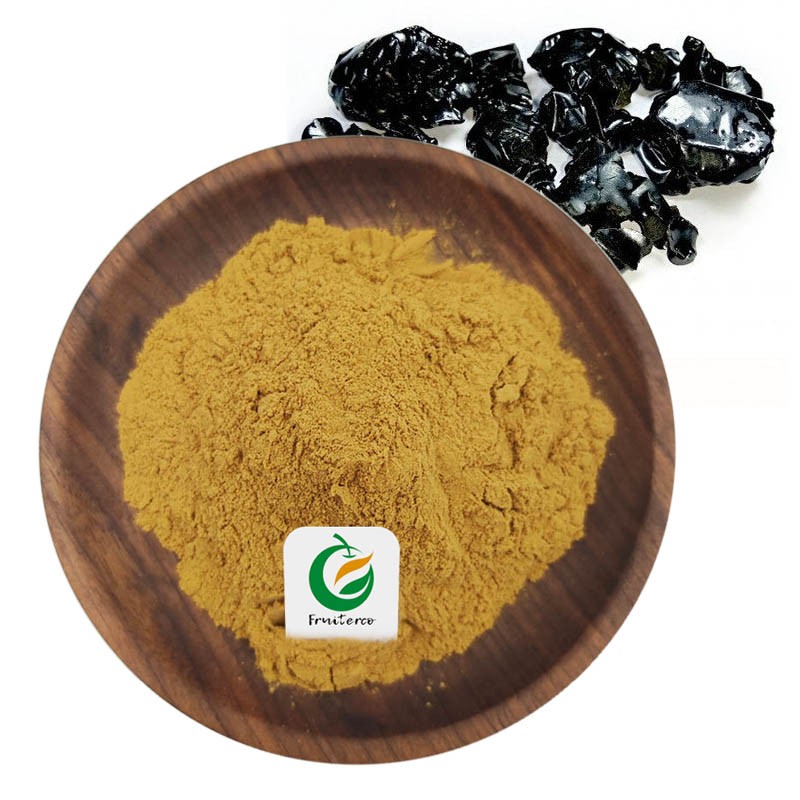 Natural 100% Pure Shilajit Extract Powder 50% Fulvic Acid Shilajit Extract