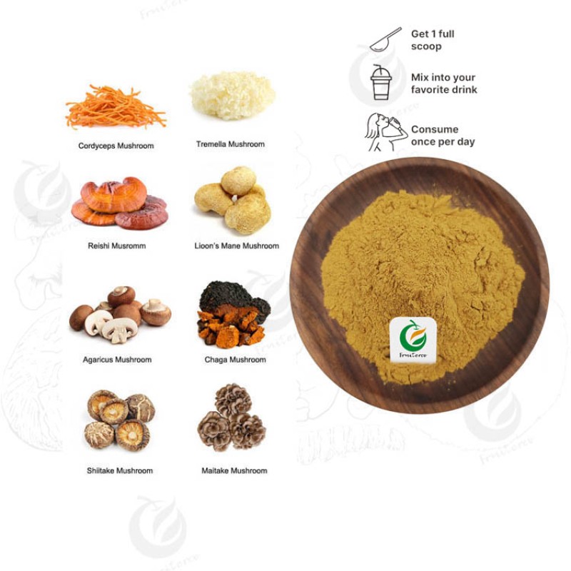 Private Label Organic Hericium Erinaceu Extract Lion's Mane Mushroom Extract Lions Mane Powder