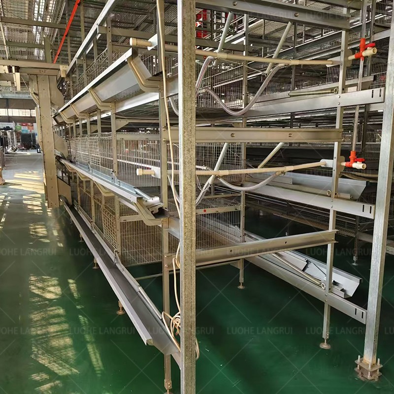 Poultry Farm Cage Supplier - High Quality H Type 10000 Birds