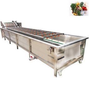 Washing Machine Factory - Customized Industrial Nut Grain Seeds