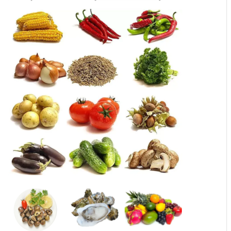 Lettuce Washer Manufacturer - Spring Onion Vegetable Fruit Line