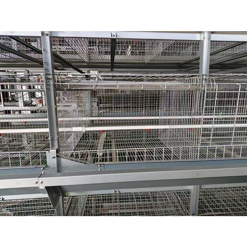 Chicken Layer Cage Manufacturer - Poultry Farm Hens Breeding System