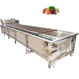Lettuce Washer Manufacturer - Spring Onion Vegetable Fruit Line
