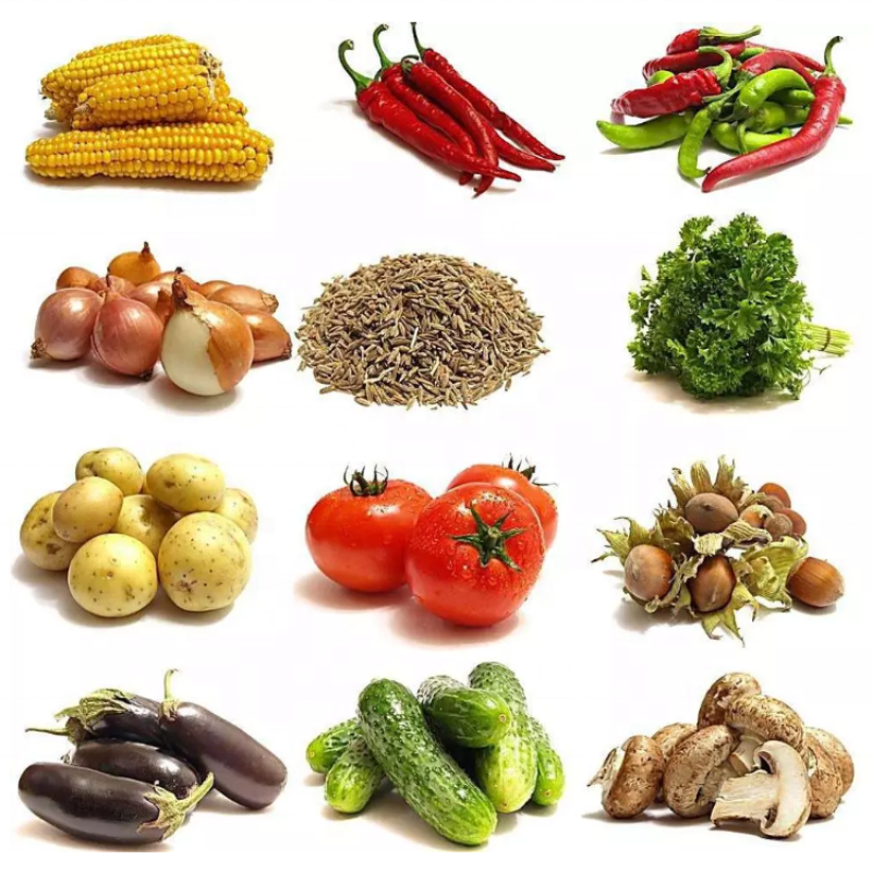 Vegetable Cleaning Machine Supplier - Industrial Fresh Fruits Drying