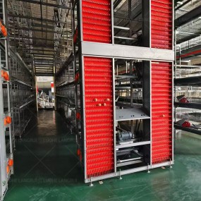 Broiler Cage Manufacturer - Supply H Type Capacity 80 Broilers