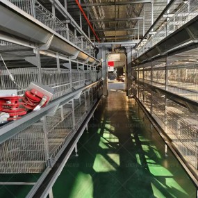 Egg Laying Cage Manufacturer - Best Price Farming Battery Galvanized