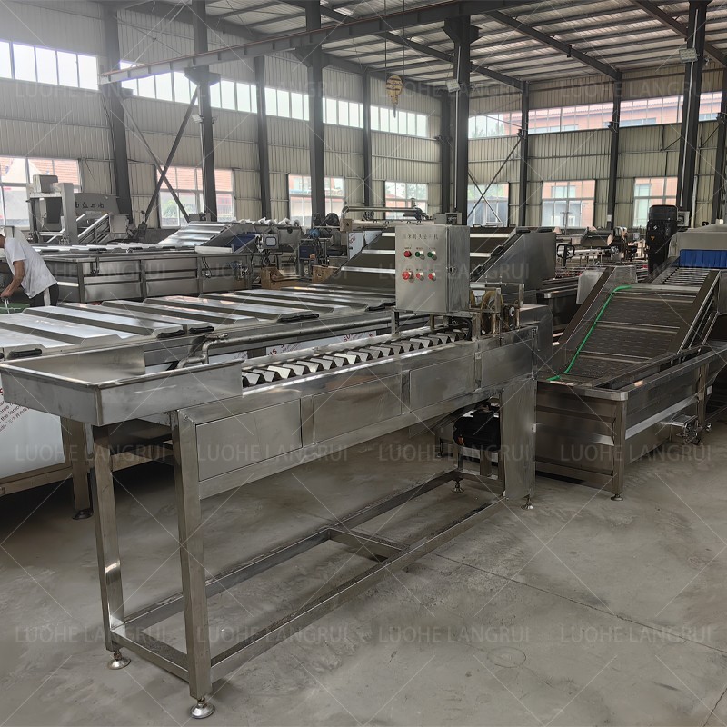 Farm Tractor Supplier - High Quality 50 HP 4x4 Agriculture