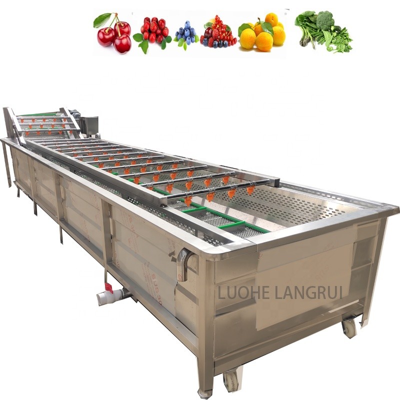 Lettuce Washer Manufacturer - Spring Onion Vegetable Fruit Line